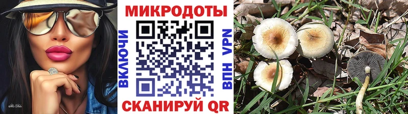 Галлюциногенные грибы Psilocybine cubensis  Купить  Светлый 